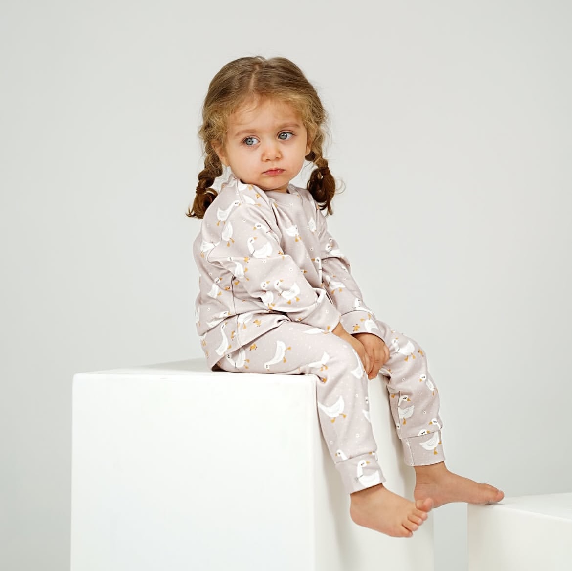 سه تیکه نوزادی غاز سپید